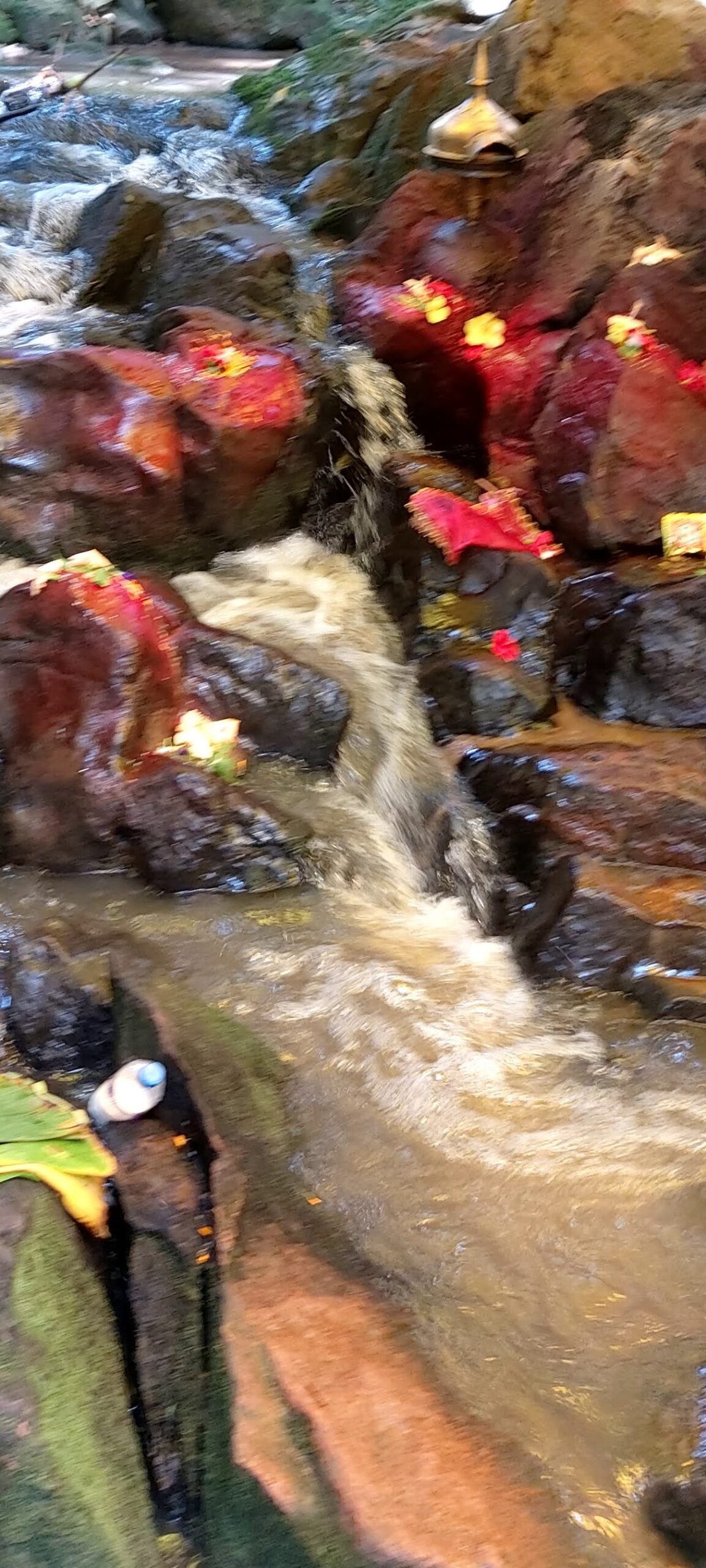 The sacred creek at Bhimashankar Dham, believed to have divine origins, encircles the Shivalinga in an eternal embrace.