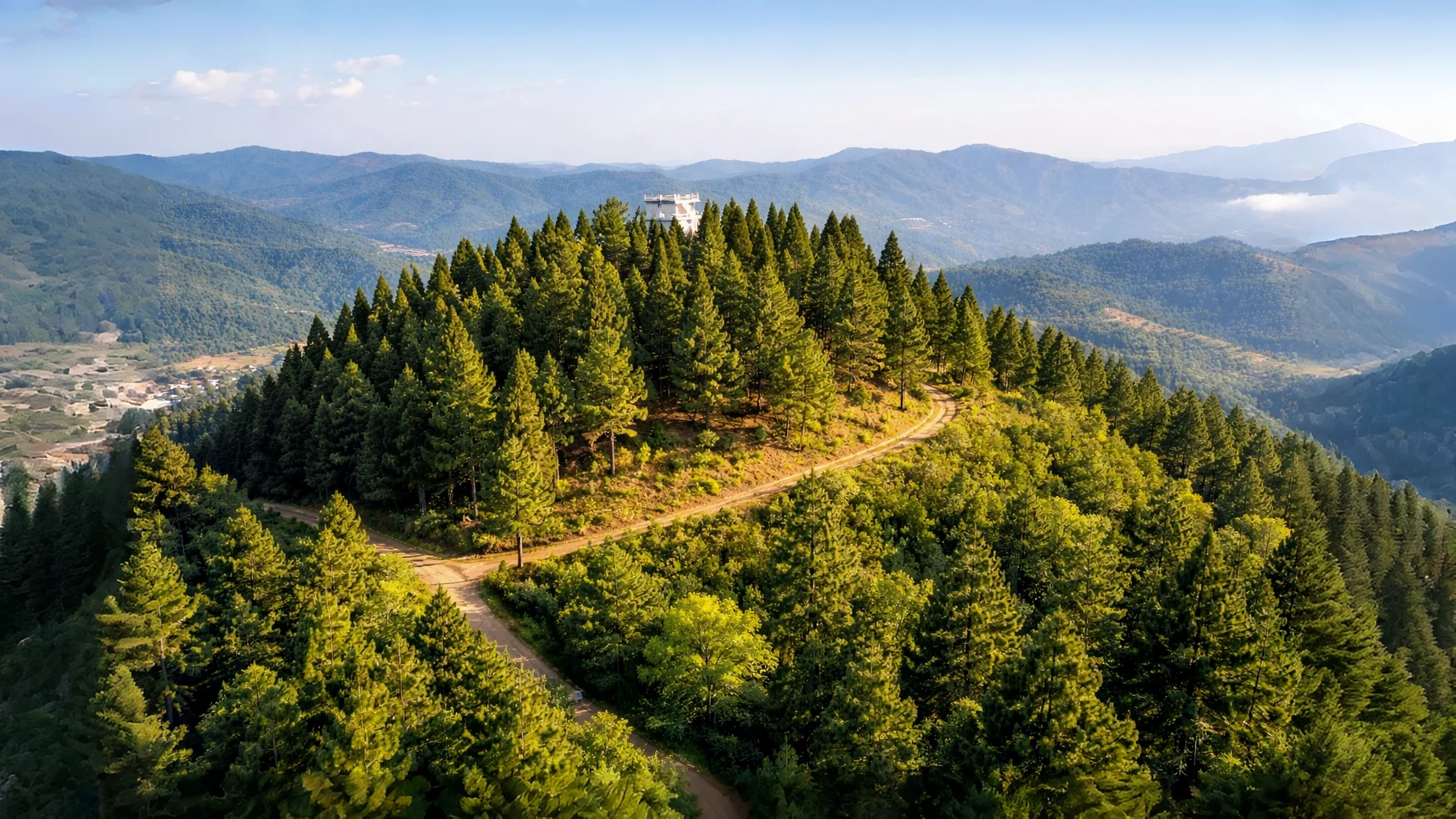 Panoramic view from Glory Peak in Pfutsero showing the valley, pine forests, and distant Himalayan peaks