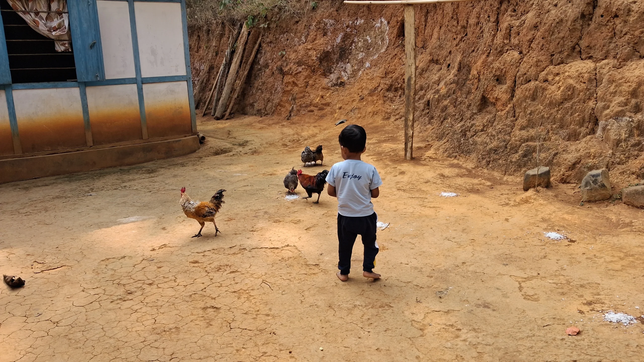 Kids playing with chickens and goats at a village stay experience near Guwahati