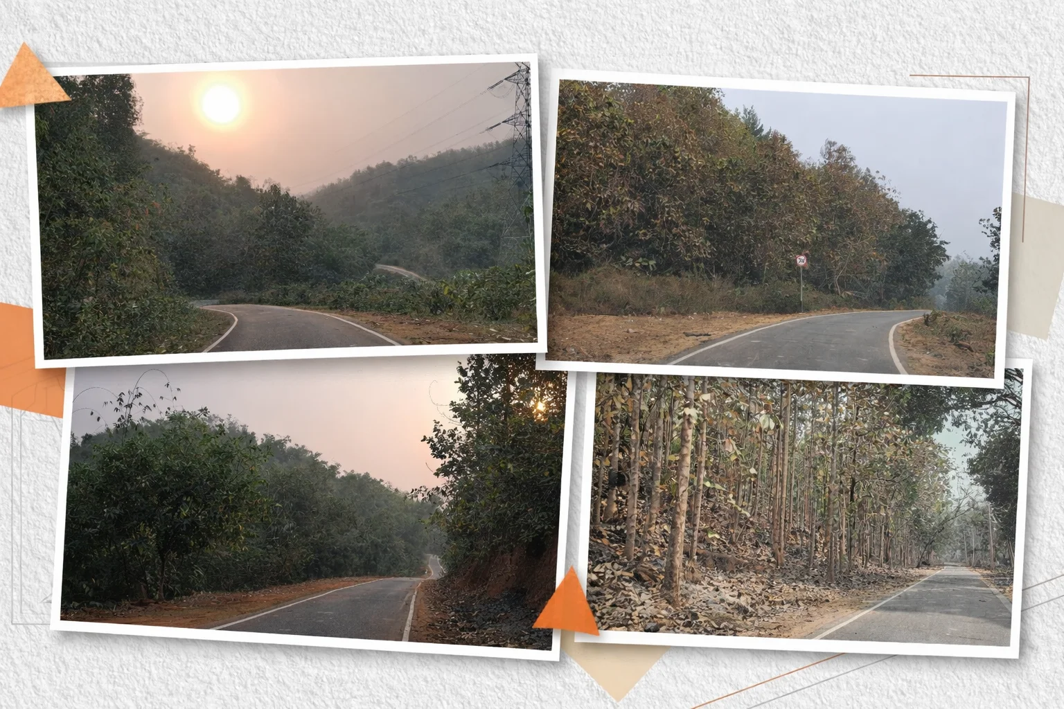 Scenic road through teak forest on the way to Satargaon near Guwahati during morning and sunset