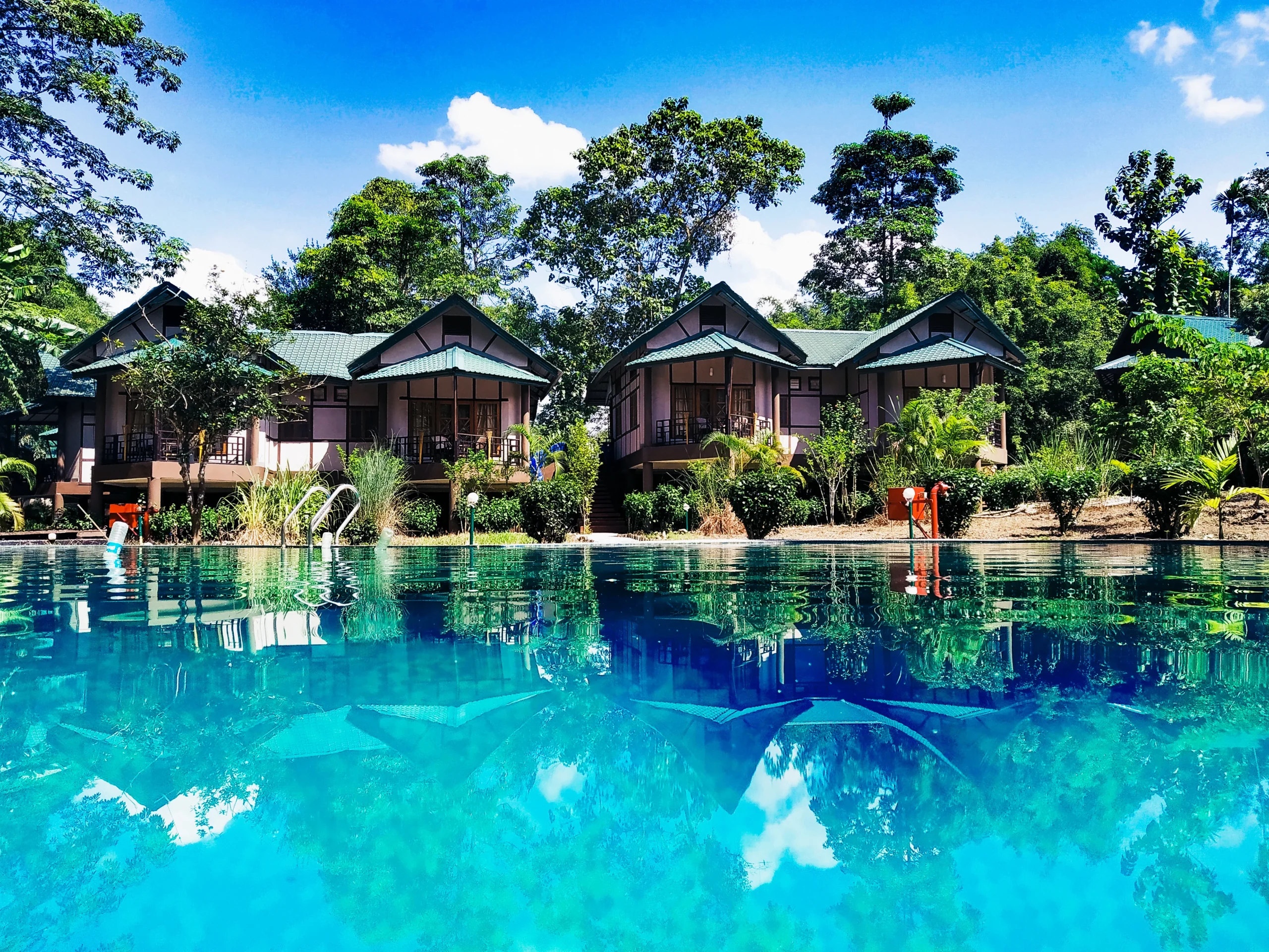 Infinity Resorts Kaziranga lake-facing cottages and swimming pool