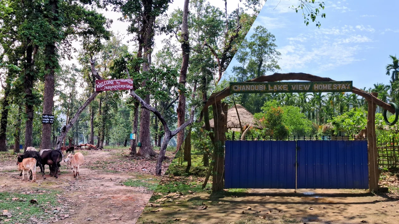Collage of the Chandubi Lake View Homestay entrance and the Welcome to Jaramkhuria Village gate near Chandubi Lake, Assam